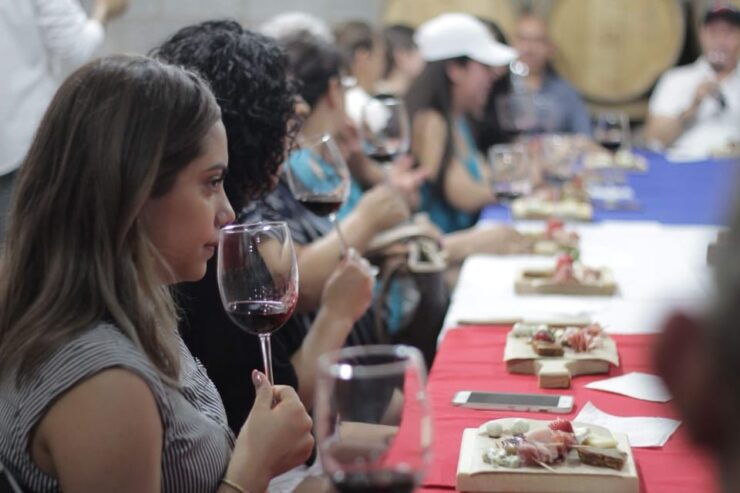 Chihuahua: Winery Tasting Experience - Good To Know