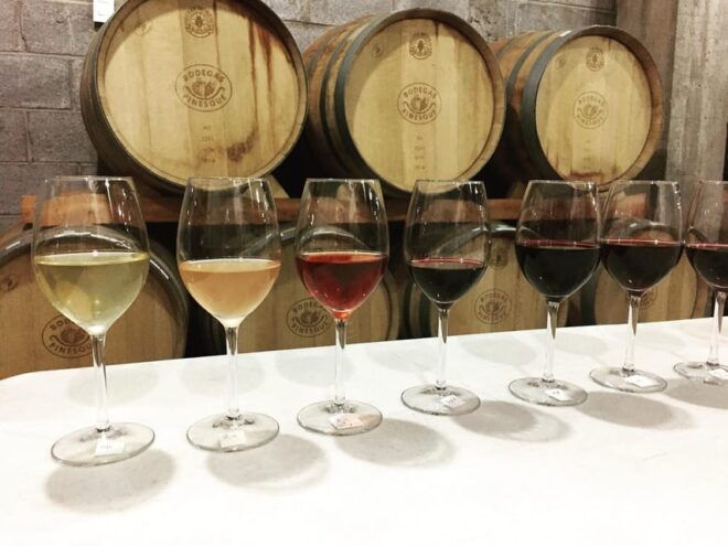 Chihuahua: Winery Tasting Experience - Expert Sommeliers Guidance