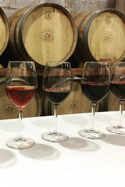 Chihuahua: Winery Tasting Experience - Frequently Asked Questions