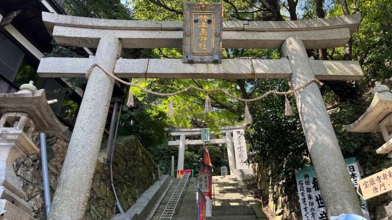 Chikubushima: Half-day private guided tour from Kyoto - Who Will Love This Tour?