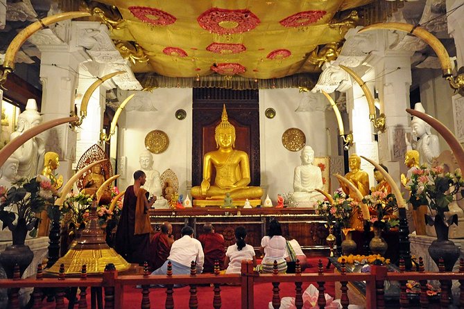 Child-Oriented Family Tour in Sri Lanka & Beach Holidays - by Minivan - 2 Weeks - Pickup and Operating Information