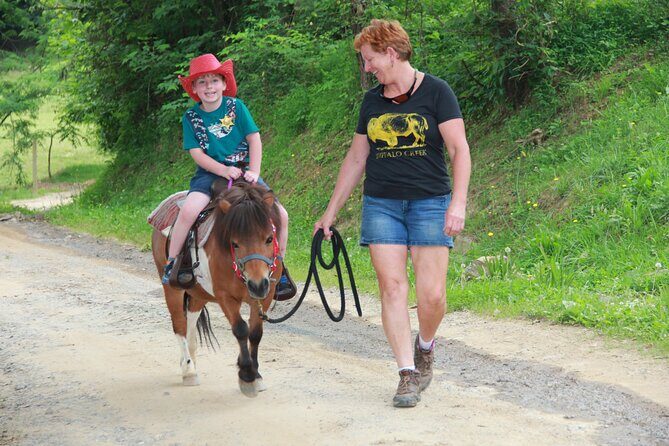 Children Mini Horse Rides - Good To Know