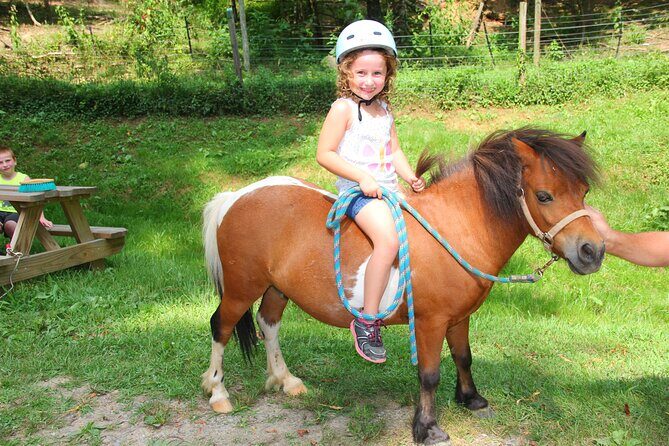 Children Mini Horse Rides - What is the Children Mini Horse Rides Experience?