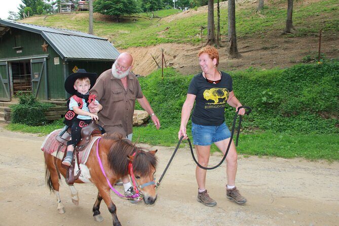Children Mini Horse Rides - Practical Tips for Visitors