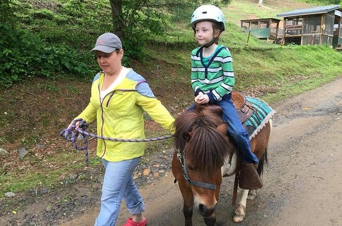 Children Mini Horse Rides - Who Would Enjoy This?
