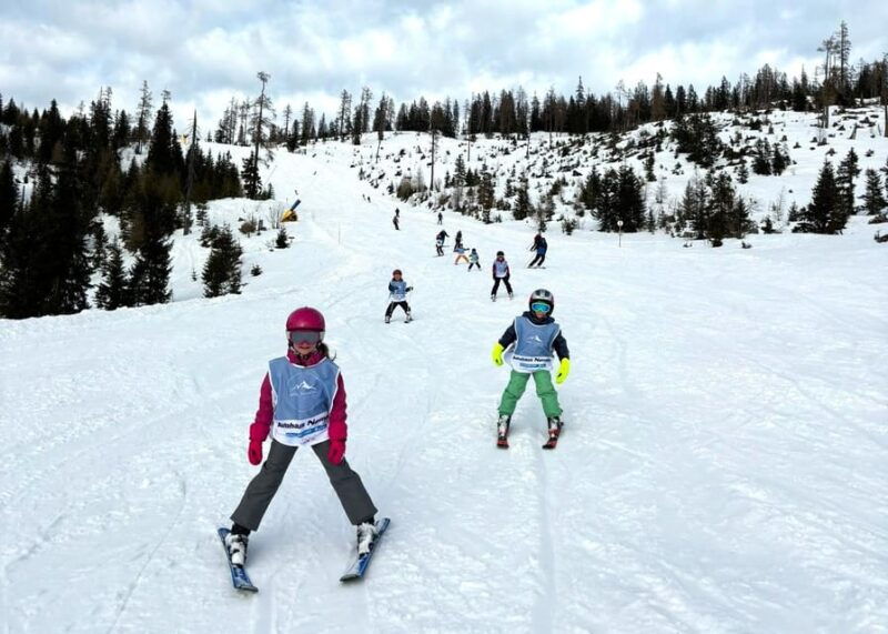 Children's ski course (4-15 yrs.) for advanced skiers - Tauplitzalm - What We Love About This Ski Course