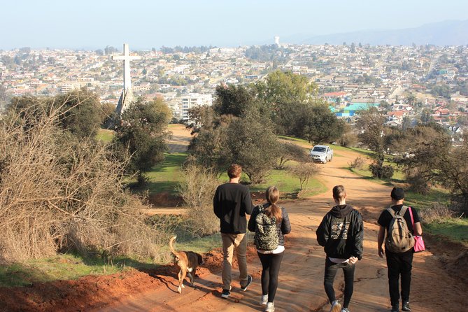 Chile: Quilpé Small-Group Half-Day Beer Walking Tour (Feb ) - Tour Highlights