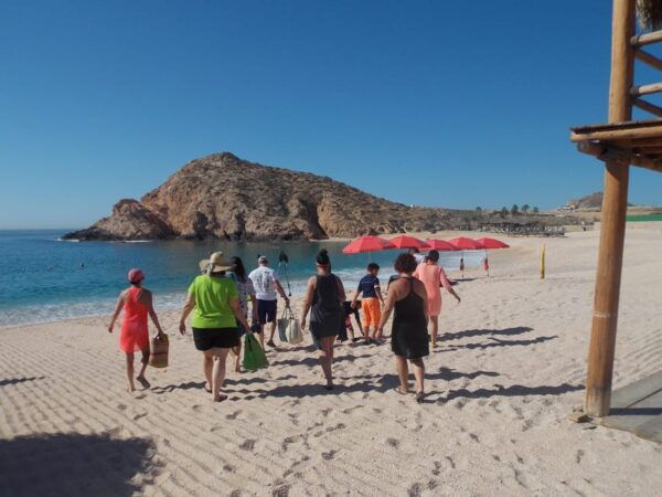 CHILENO BEACH DAY TRIP - Frequently Asked Questions