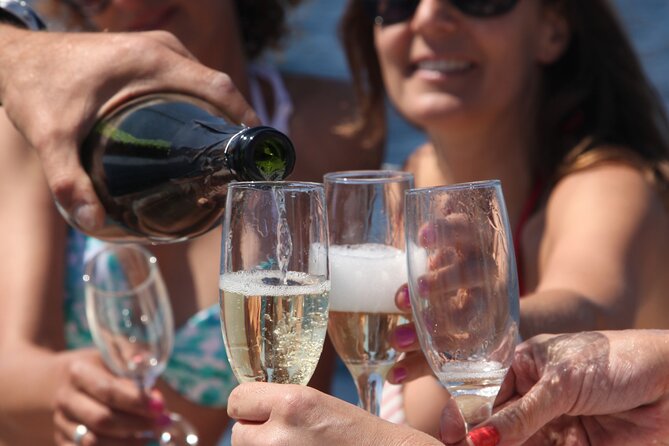 Chill Out Sailing From Barcelona - Private Tour - Inclusions and Logistics