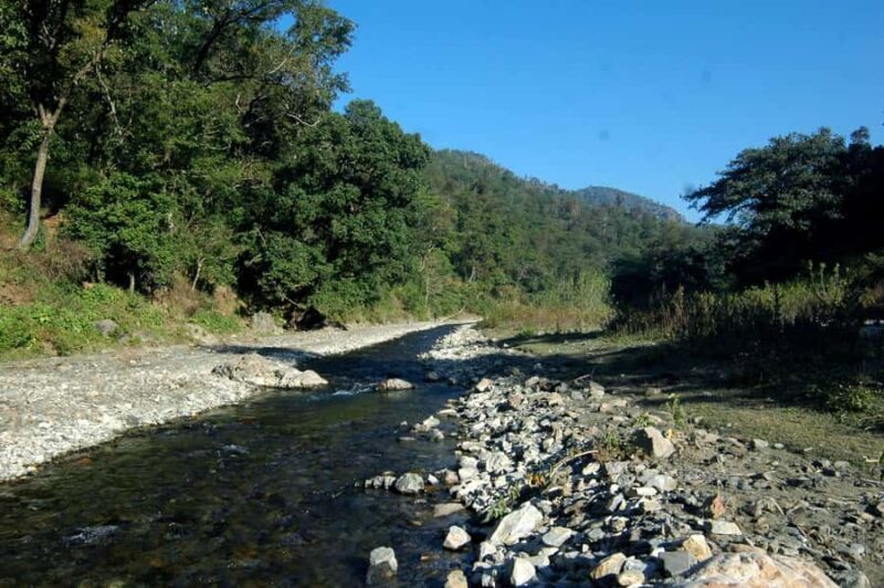 Chilla Range: Rajaji National Park Jeep Safari in Rishikesh - The Logistics: Details That Matter