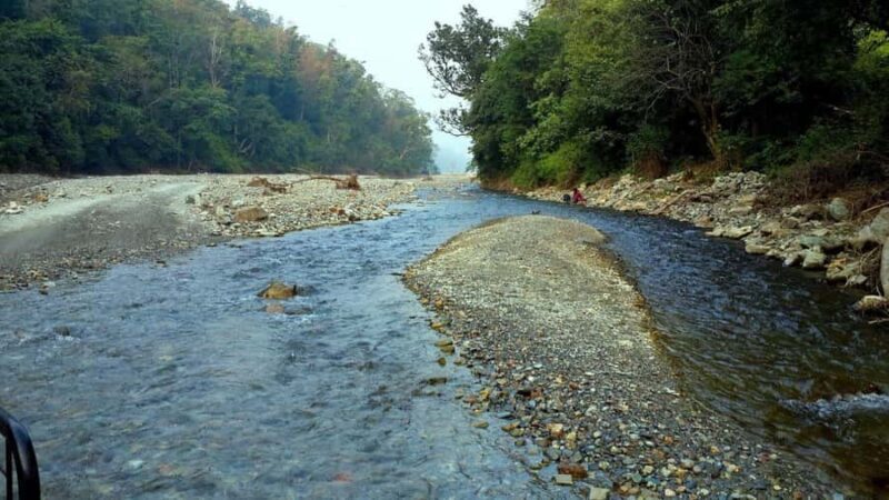 Chilla Range: Rajaji National Park Jeep Safari in Rishikesh - Final Thoughts: Who Should Consider This Safari?