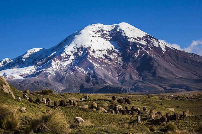 Chimborazo Tour From Quito: Hiking and Ascent to Condor Cocha All Included - Tour Inclusions and Highlights