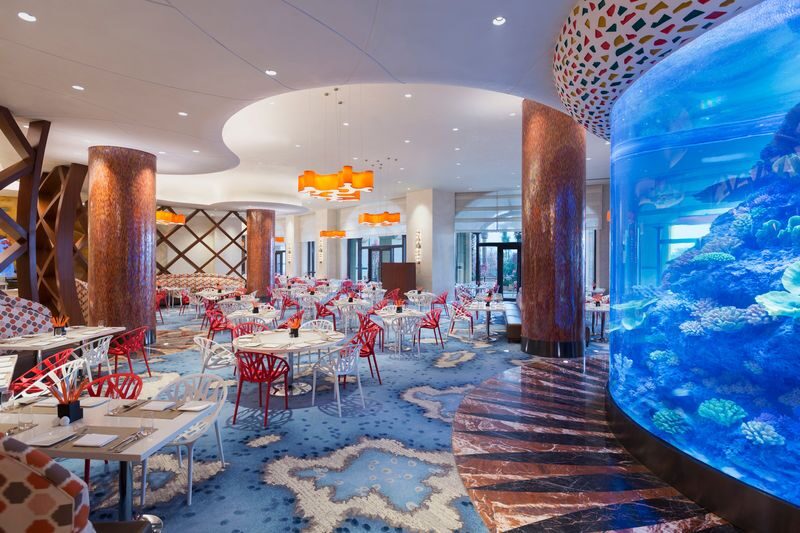 Chimelong Hengqin Bay Hotel Buffet - The aquarium sets the mood