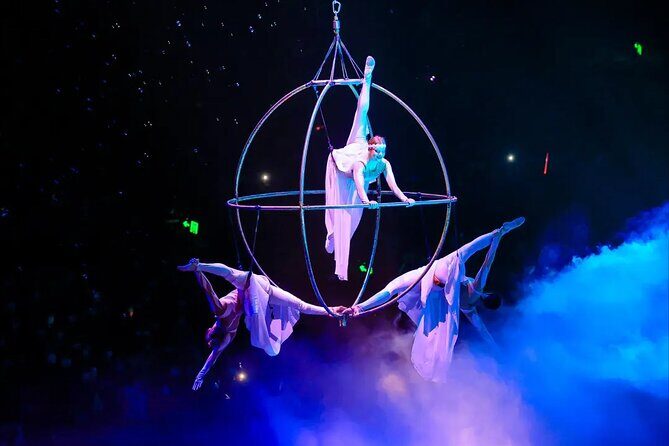 Chimelong International Circus Ticket with Transfer - Analyzing the Cost and Value