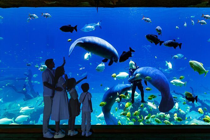 Chimelong Spaceship Theme Park - Exploring the Itinerary in Detail