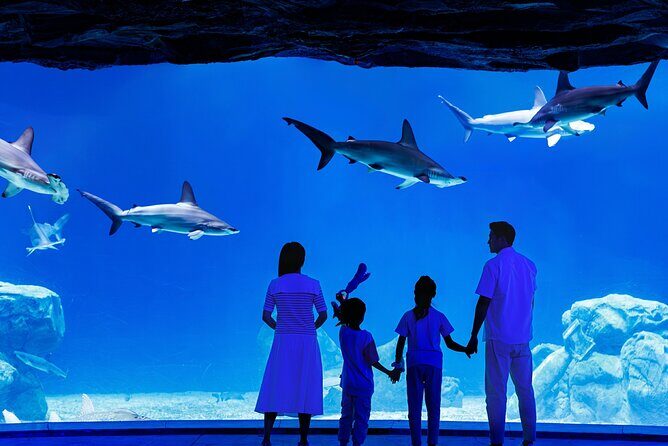 Chimelong Spaceship Theme Park - FAQs About Chimelong Spaceship Park