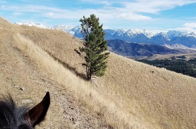 Chimney Rock Trail Ride - FAQs