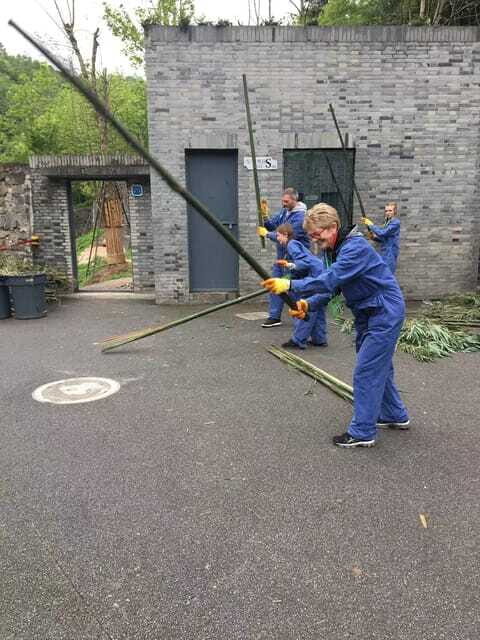 China: 13-Day Tour with Terracotta Army and Giant Pandas - FAQ