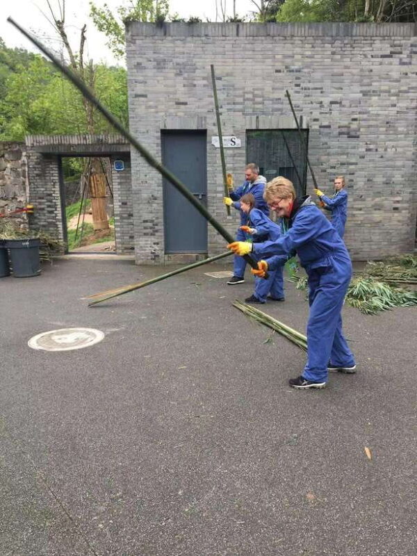 China: 13-Day Tour with Terracotta Army and Giant Pandas - Practical Details: What to Expect and How to Prepare  