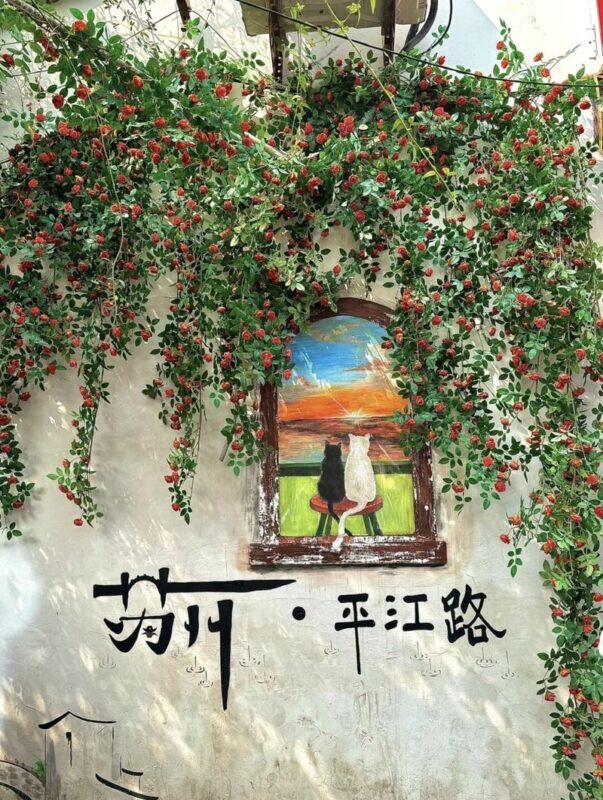 China Railway Tour: Shanghai Round-trip Suzhou One-Day Classic Route - Shantang Street after dark