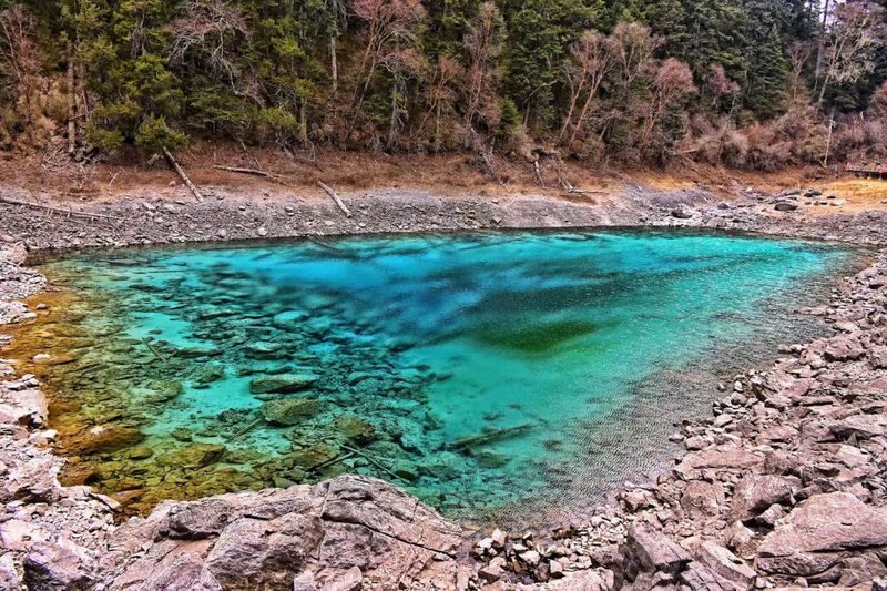 China Railway Tour: Sichuan Jiuzhaigou Huanglong High-Speed Bullet Train 2-Day Tour - The ride back: plan for a late Chengdu arrival