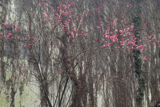 China Shanghai Typical One Day Tour. - Ticket Information