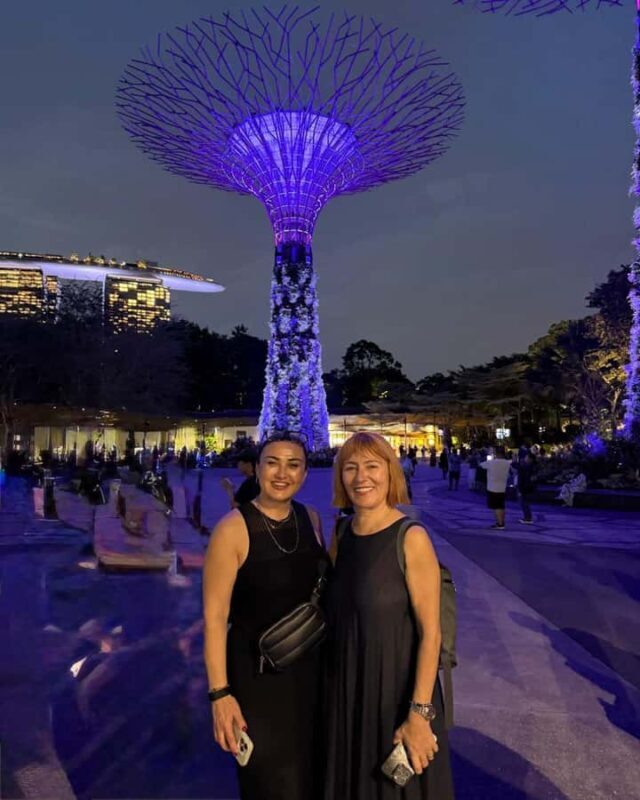 Chinatown Food Tour, River Cruise & 2 top-visit Light Shows - Who Is This Tour Best For?