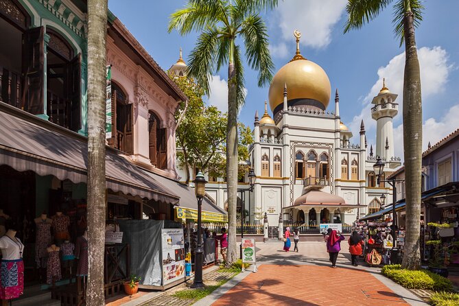 Chinatown, Little India and Buddha Tooth Relic Private City Tour - Iconic Landmarks