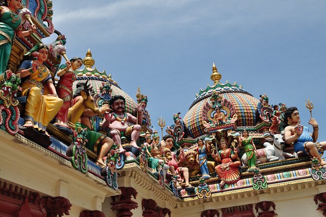 Chinatown, Little India and Buddha Tooth Relic Private City Tour - Practical Information