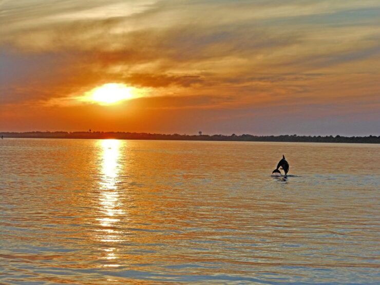 Chincoteague: Assateague Island Sunset Boat Cruise - Experience the Unspoiled Landscapes