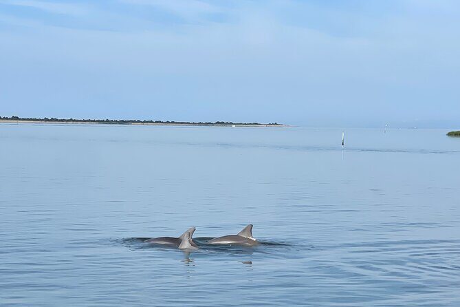 Chincoteague Dolphin Watching Boat Tour - FAQ