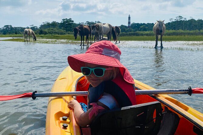 Chincoteague Kayak Rentals around Assateague Island - Price & Value Analysis  
