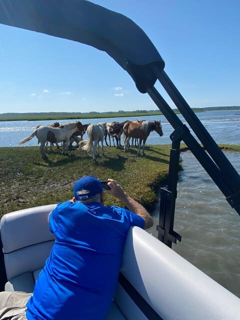 Chincoteague: Premier Pony & Wildlife Small Group Boat Tour - Good To Know