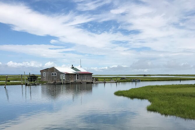 Chincoteagues Up The Bay Pony and Wildlife Tour by Boat - The Sum Up