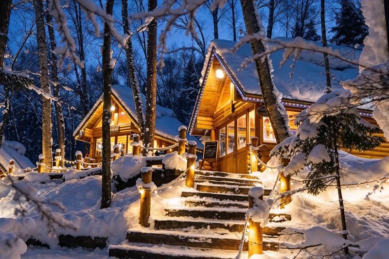 Chinese & English Guide: Hokkaido Popular Day Trip | Asahiyama Zoo & Biei Internet-Famous Trees & Shirasu Waterfall & Shirogane Blue Pond & Ningle Terrace (Sapporo Departure) - Shirahige Falls: a short stop for water and winter contrast