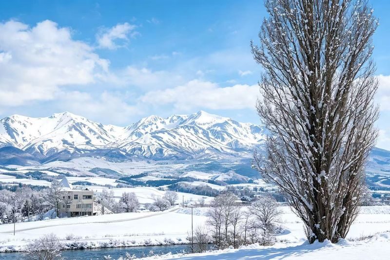 Chinese & English Guide: Hokkaido Popular Day Trip | Asahiyama Zoo & Biei Internet-Famous Trees & Shirasu Waterfall & Shirogane Blue Pond & Ningle Terrace (Sapporo Departure) - Blue Pond: striking color, with a seasonal catch