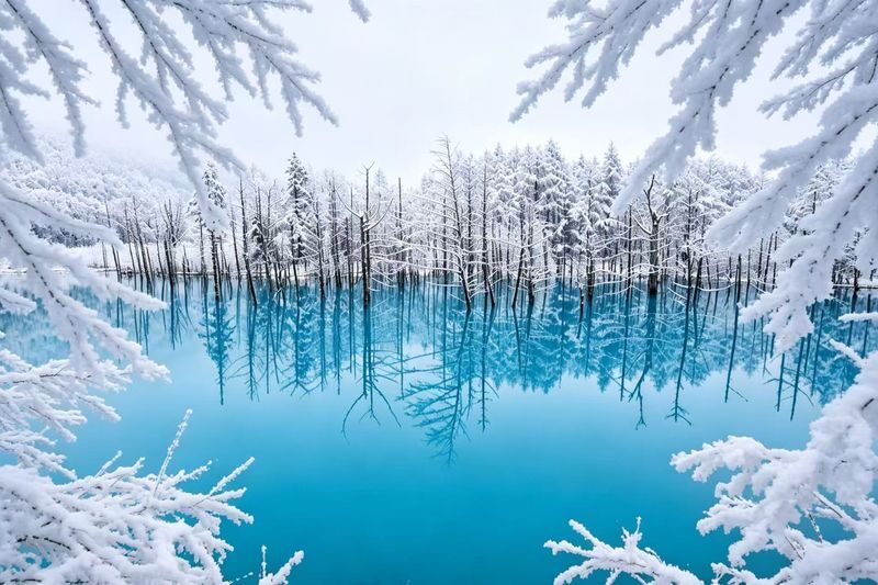 Chinese & English Guide: Hokkaido Popular Day Trip | Asahiyama Zoo & Biei Internet-Famous Trees & Shirasu Waterfall & Shirogane Blue Pond & Ningle Terrace (Sapporo Departure) - The value is in transport, not unhurried sightseeing