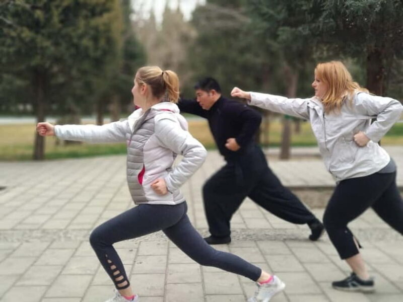 Chinese Kung Fu Experience Class in Beijing - Exploring the Details of the Experience