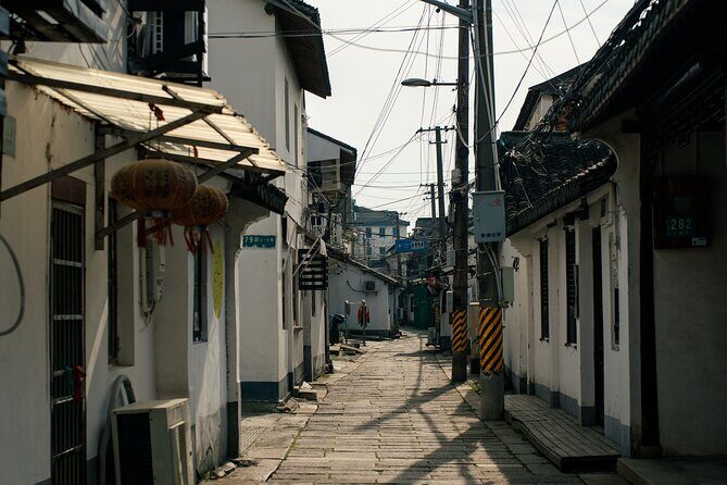 Chinese Painting with Local Master in Water Town - Practical Details & Why They Matter