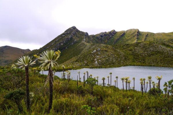 Chingaza: The Mountain of Water - Overnight Camping Options