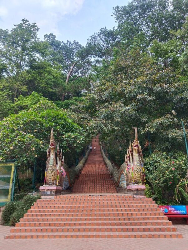 Chingmai Sunrise Hike & Cultural Traditions - Offering alms with care