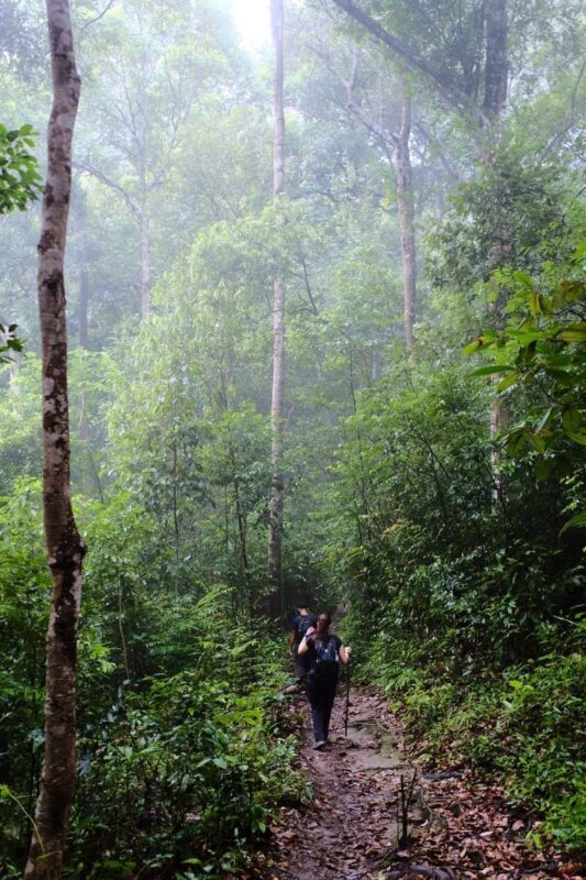 Chingmai Sunrise Hike & Cultural Traditions - What the price covers, and what to check