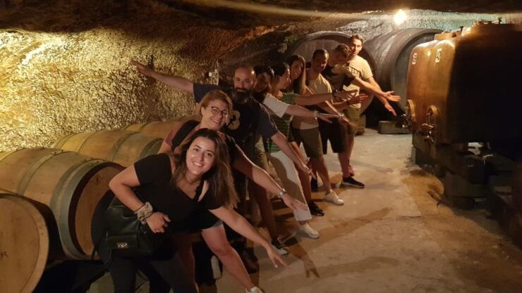 Chinon: Bicycle Tour of Saumur Wineries With Picnic Lunch - Experience Highlights