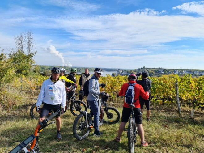 Chinon: Bicycle Tour of Saumur Wineries With Picnic Lunch - Itinerary Highlights