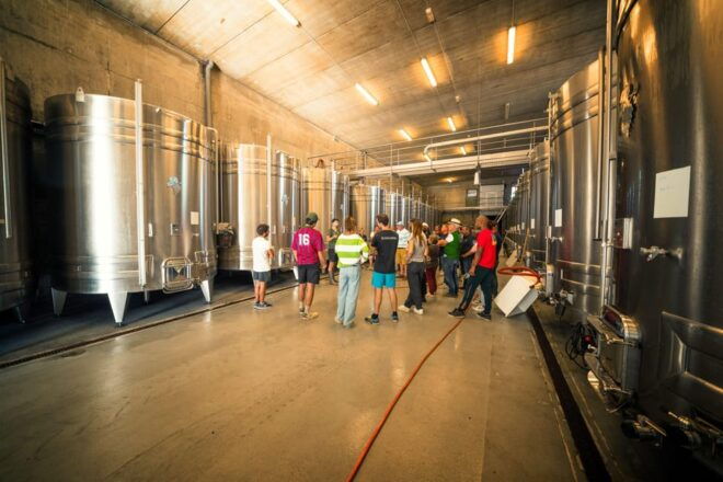 Chinon : Discovery Tours and Wine Tasting - Detailed Tour Description
