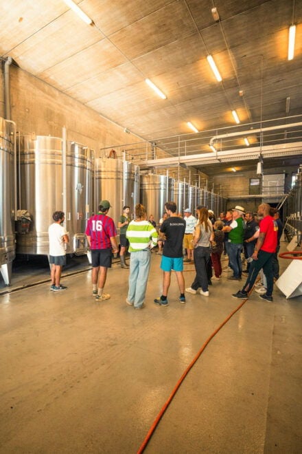 Chinon: Prestige Tours and Wine Tasting - Included Activities