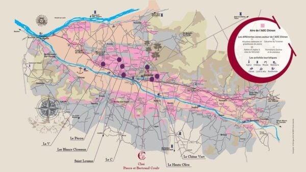 Chinon: Prestige Tours and Wine Tasting - Wine Tasting Insights