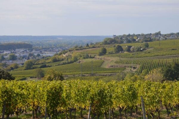 Chinon: Prestige Tours and Wine Tasting - Reservation Information