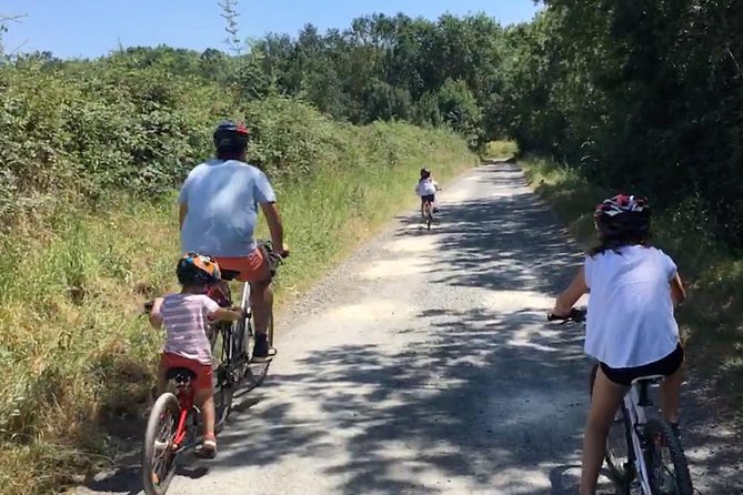 Chinon Wine Tour by Bike With Picnic Lunch - Cancellation Policy