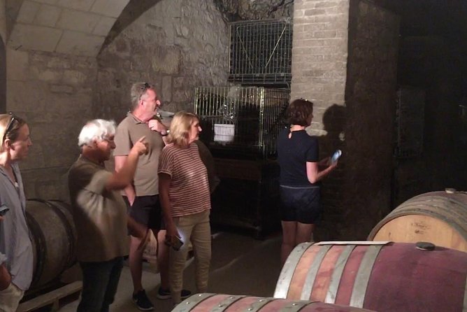 Chinon Wine Tour by Bike With Picnic Lunch - Reviews and Pricing